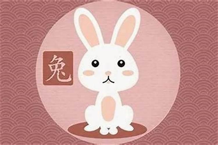 属兔和什么属相最不合,属兔的人和什么属相相克
