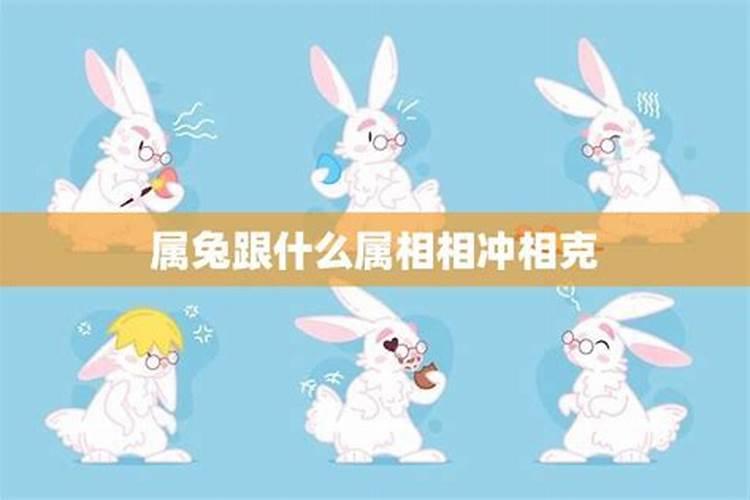 兔与什么属相相克相冲