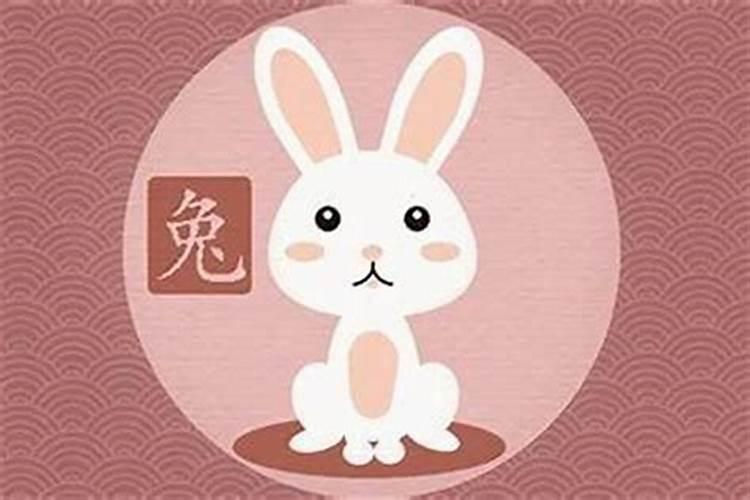 属兔与什么属相不合 属兔的人结婚防那三个属相