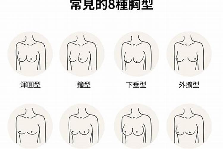 什么叫八字奶？