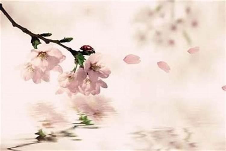 八字桃花查法