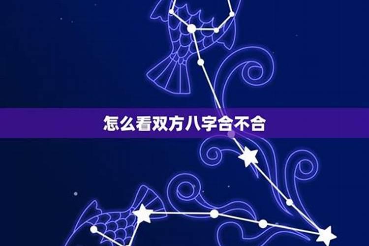 2025蛇是什么命 五行属什么