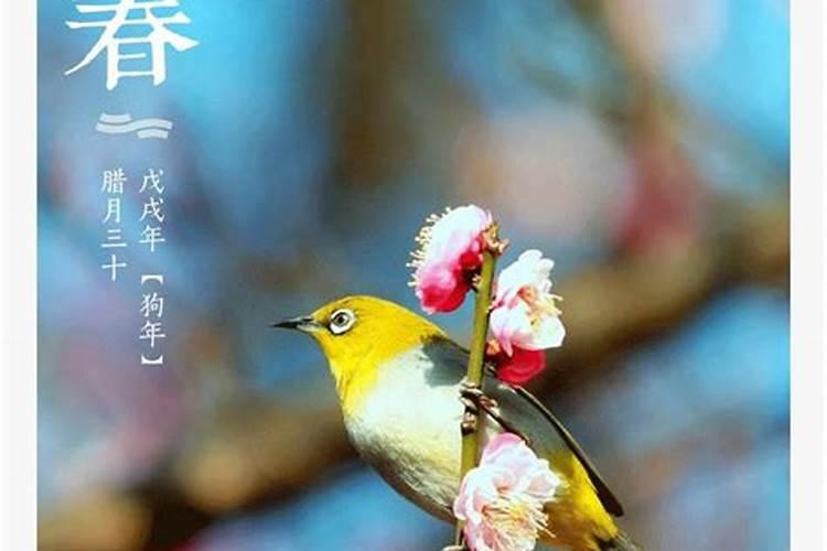 今年农历立春是哪天2024 立春后还冷吗