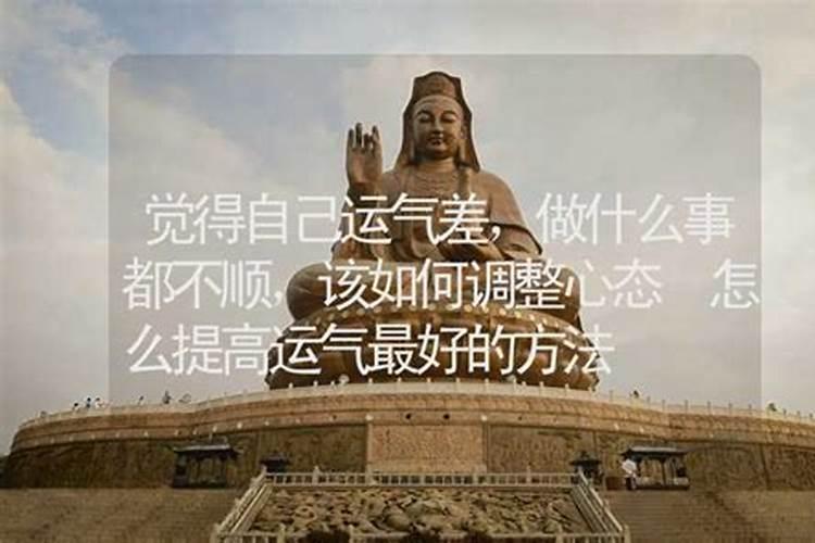 十一月出生的属龙人命不好,属龙十一月生的人命数怎样？