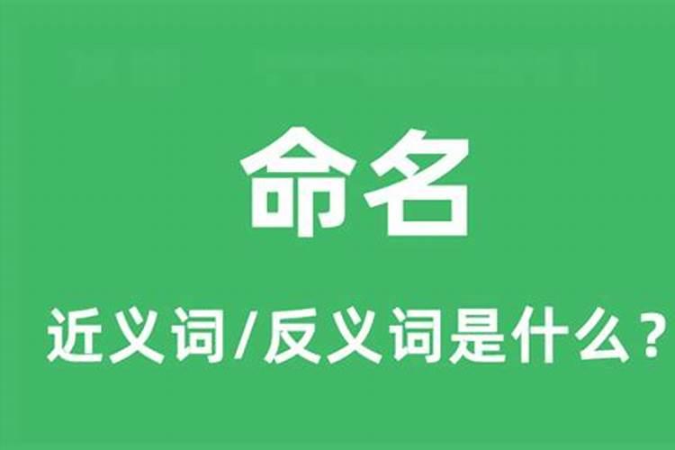 79年属羊45岁2025年运势
