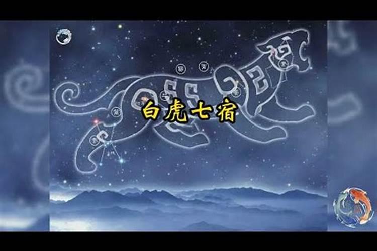 犯白虎关煞的人有什么禁忌？
