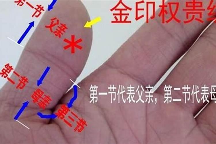免费算正缘桃花何时到,八字测正缘出现的准确时间、年份