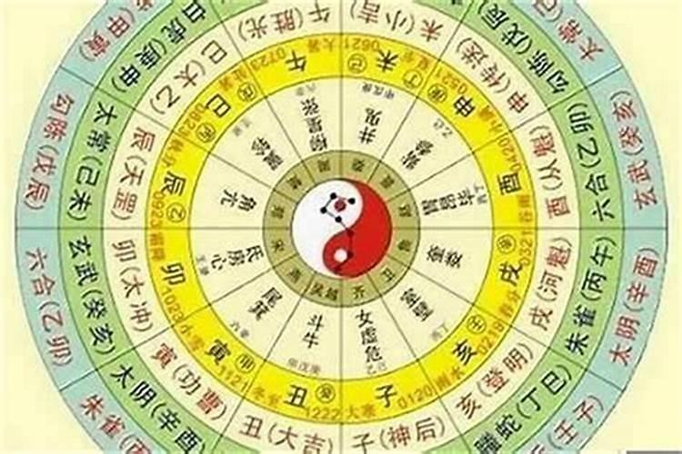 重阳节属什么生肖