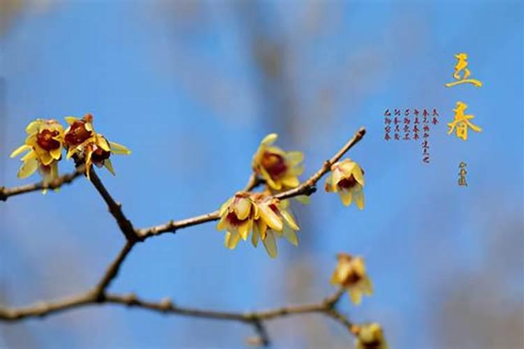立春该注意的养生知识