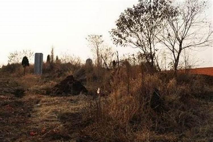 梦见坟地跑出去了