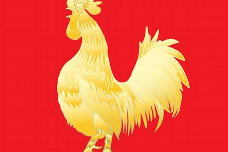 2025属鸡人的全年运势及运程如何