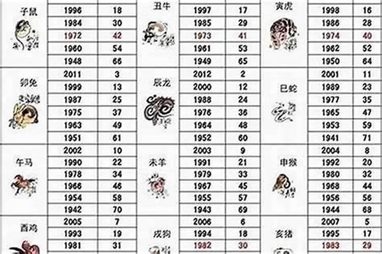 狗逢十二生肖事业运程
