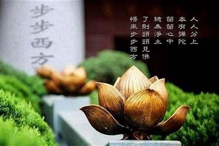 什么八字女命天生富贵命,能够嫁贵夫？