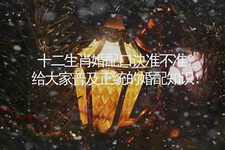 属相不好的夫妻能过好吗,两个人属相不合在一起生活真的不好吗？