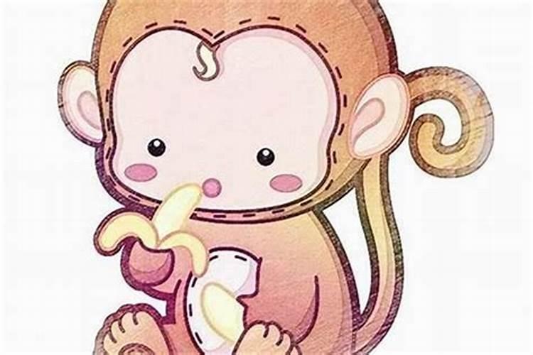 属猴的和属狗的能在一起吗？