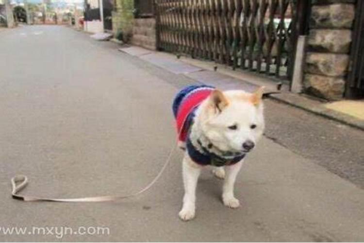 农历腊月二十二出生是什么命 哪个时辰出生好？