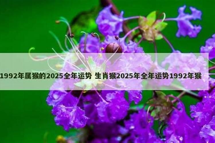 1992年的猴在2025年的运势怎么样