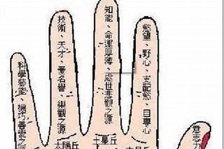 看手相算命准吗