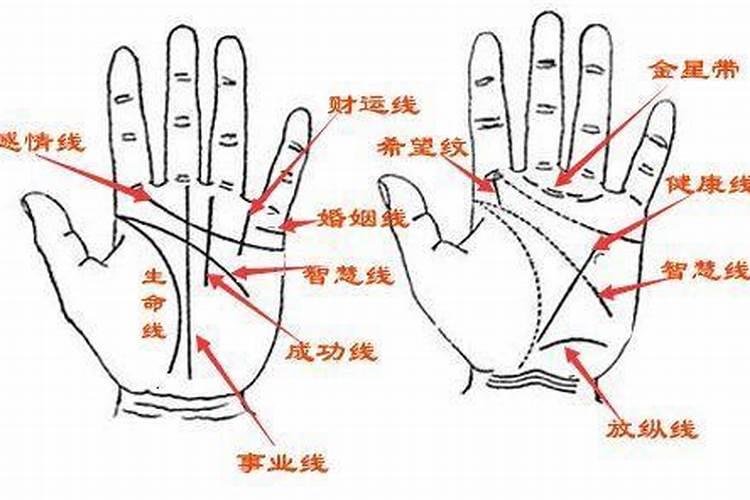 看手相算命 看手相算命准吗能信吗