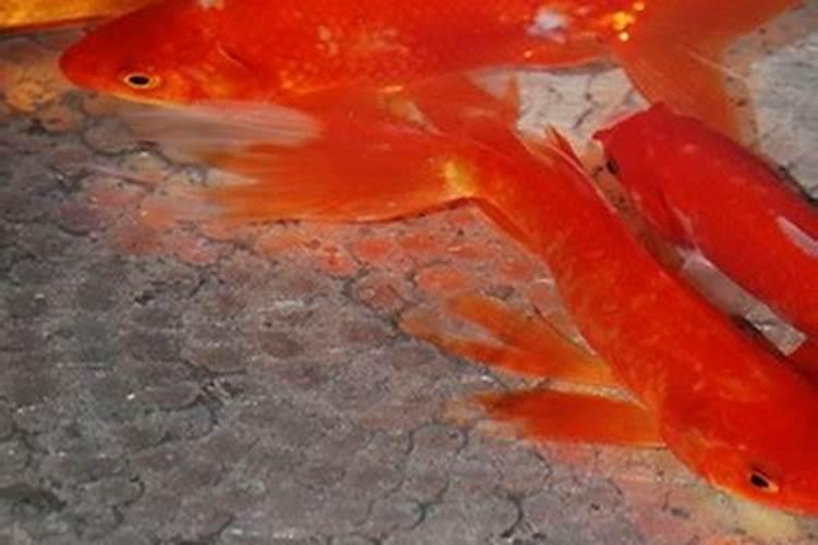上饶寺庙哪个好