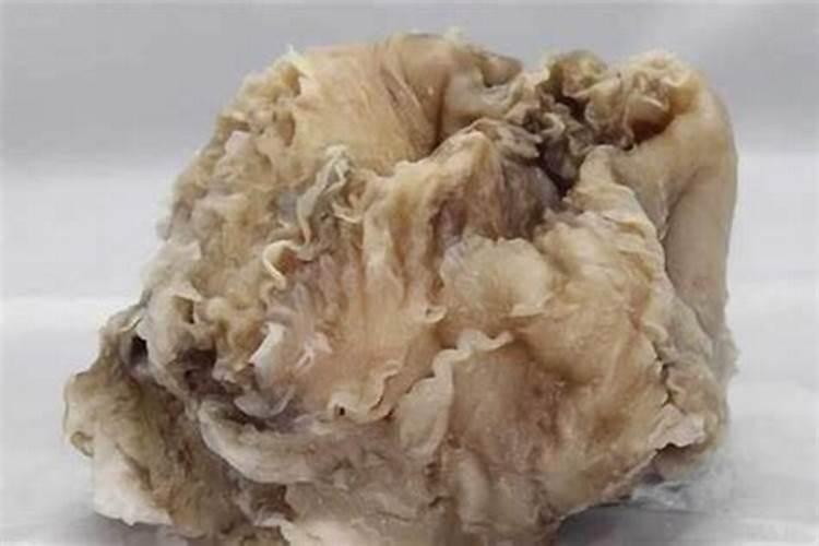 74男虎79女羊能走到老吗婚姻状况怎么样