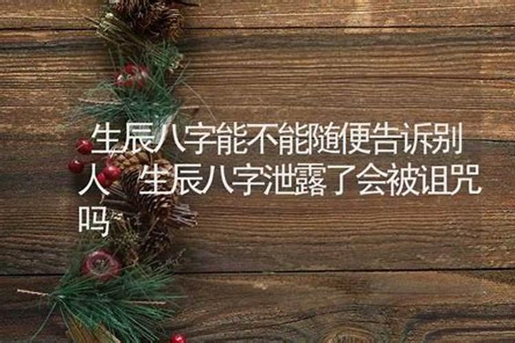 蓬莱松有哪些作用