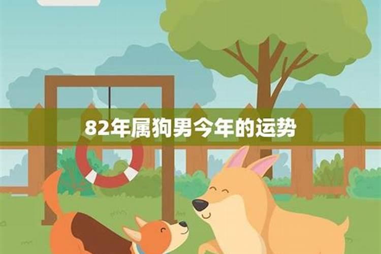 82年的狗未来五年的运势