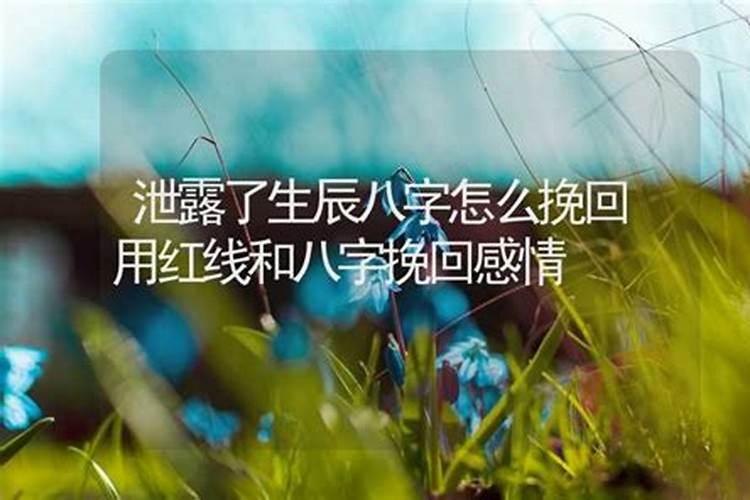 2025属猪的全年运势如何