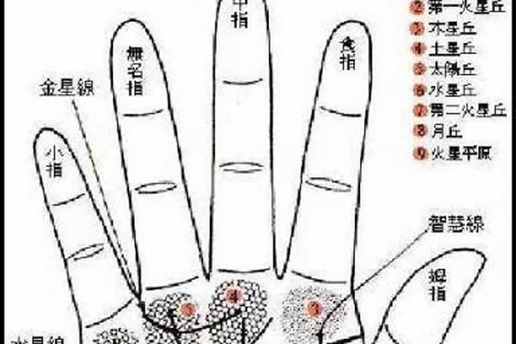 手相婚姻线大全图解