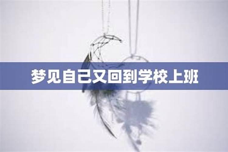 梦到回到学校上学预示着什么？