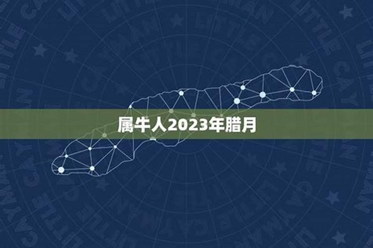 阴历1973年12月12是什么命