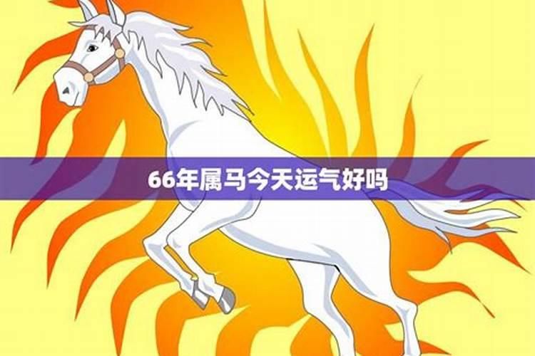 66年属马人今天出门行吗？