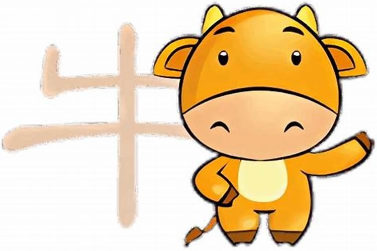 属牛的人今天工作顺不顺利,属牛的人今年是不是财运不好