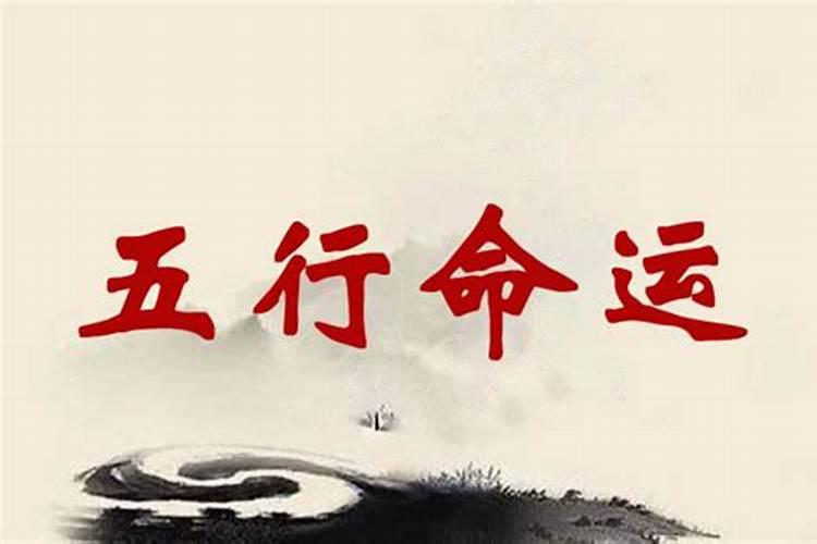 生肖兔1963年2025年运势如何 生肖兔1963年2025年全年运势