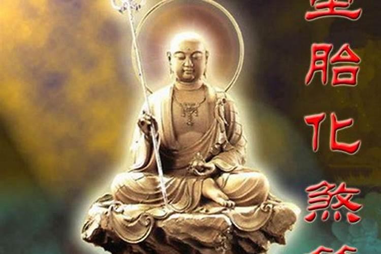 属马的人2025年运势及运程详解