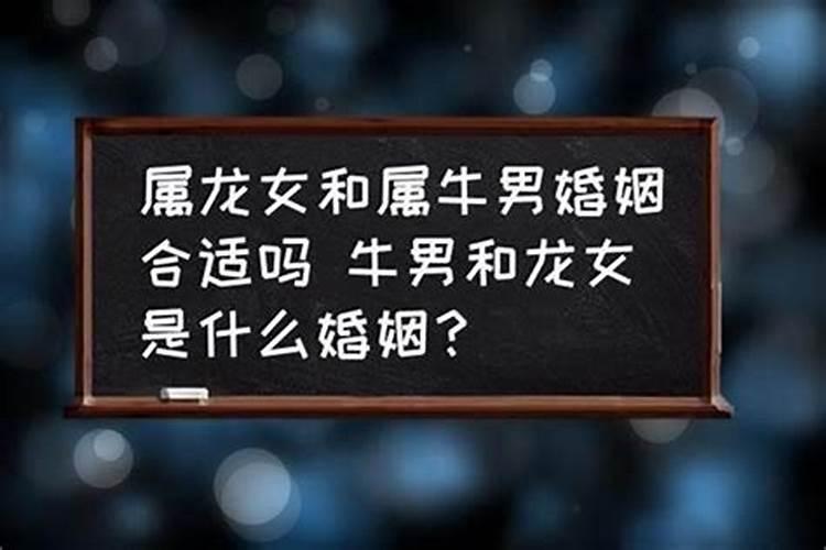 属牛男人和属龙女人相配吗