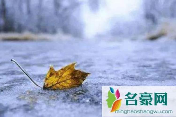 假童子命是怎么回事 脸部特征 是谁投胎来的 前世是什么