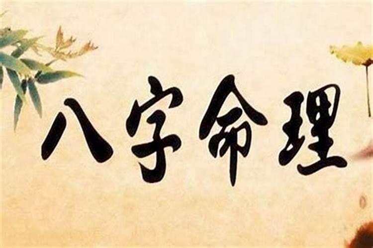 梦到一只非常漂亮的鸟,而且会说人话