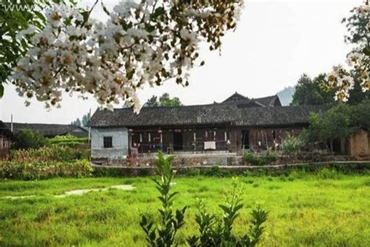 属蛇2025年犯太岁吗