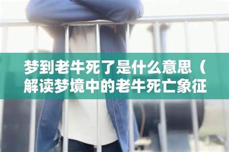 梦见牛摔死卖牛肉的预兆