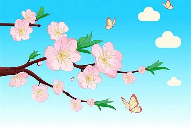 命犯桃花,如何应对感情波动？