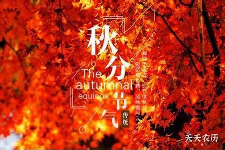 农历秋分是几月几号 传统的“祭月日”