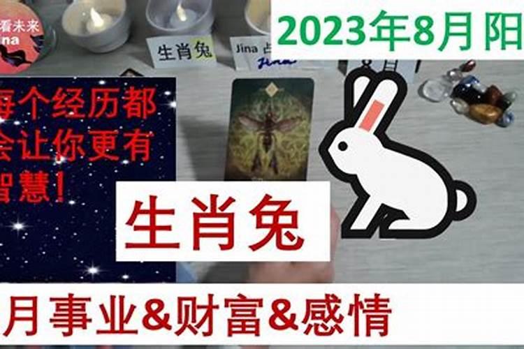 1999年属兔男2025年的运势及运程如何
