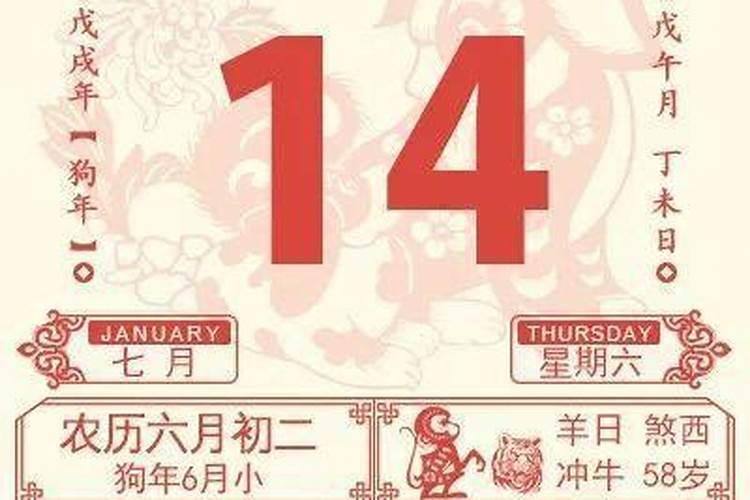 24年的龙和25年的蛇是什么命