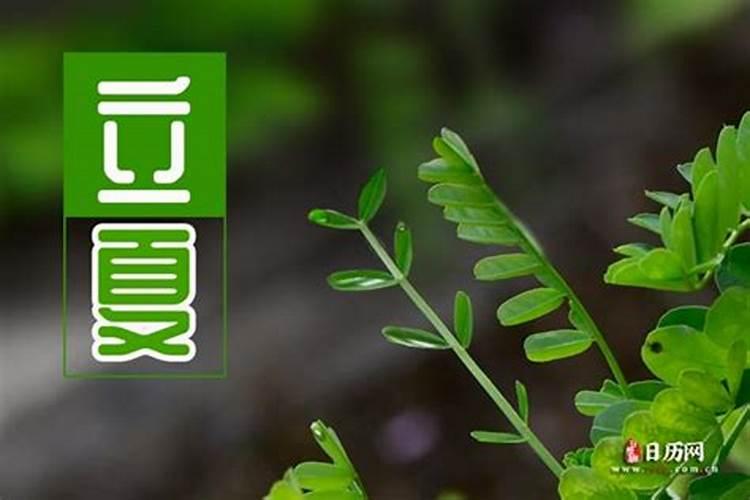 北京白云观超度在哪个殿