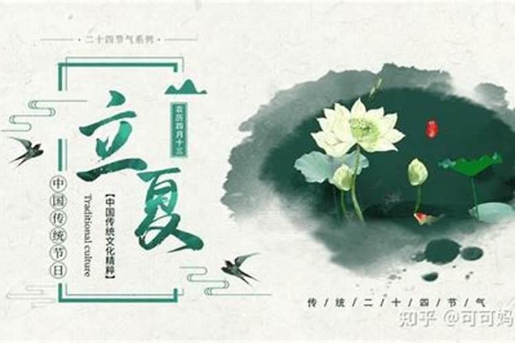 给猫咪起什么名字好？