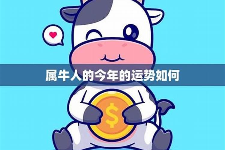 75年兔2025年运势