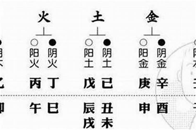 1975年属兔男士(50岁)2025年运势大揭秘,看看每个月该怎么做