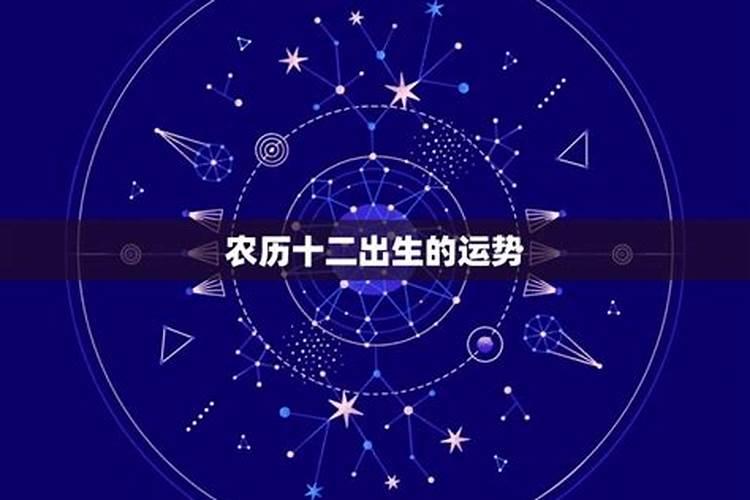 1975年的兔2025年运势