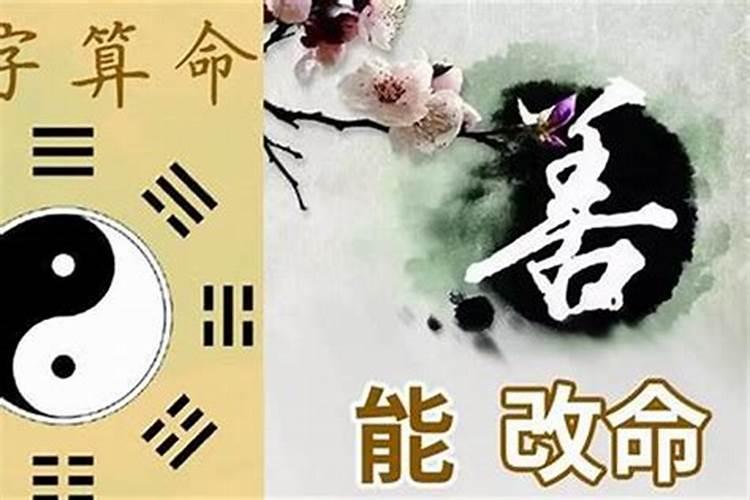 秋分当天出生的男孩命运 大多会白手起家